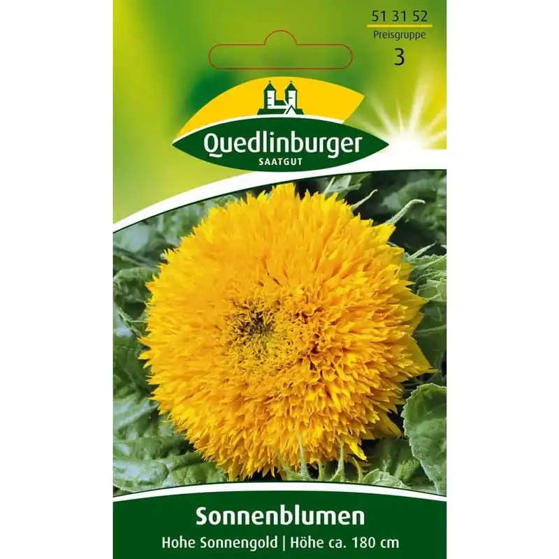 Abverkauf Sonnenblumen Samen, Sonnengold, gefüllte Sonnenblume kaufen